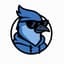 Avatar for Bluejay