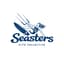 Avatar for Seasters Kite Collective