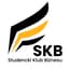 Avatar for SKB