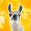 Avatar for Epic Llama