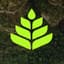 Avatar for Wollemi Capital