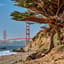 Avatar for AI/Data Hike with lunch afterward