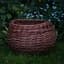 Avatar for Baskets in the Garden Avatar for Baskets in the Garden
