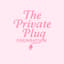 Avatar for The Private Plug Foundation