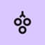 Avatar for grape