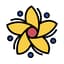 Avatar for Medellin Community