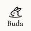 Avatar for Buda AI