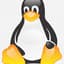 Avatar for SF Linux