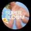 Avatar for SuperBloom