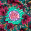 Avatar for Push Play Theatre