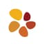 Avatar for LaunchPad Program Readiness