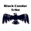 Avatar for Black Condor Tribe