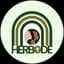 Avatar for Herbode Foundation for Women and Girls