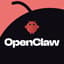 Avatar for OpenClaw India