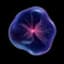 Avatar for Evolved Technology