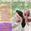 Avatar for Braiding Sweetgrass Sharing Circle