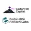 Avatar for Cedar Hill Capital & the Cedar-IBSi FinTech Lab