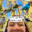 Avatar for steph, that quirky bird girl