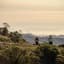 Avatar for Dipsea Generations events Avatar for Dipsea Generations events
