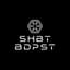 Avatar for SHBT BDPST