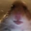 Avatar for Rat Mansion