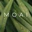 Avatar for Moai Wellness Community