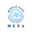 Avatar for Middle East Stablecoin Association
