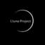 Avatar for Lluna Project