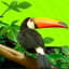 Avatar for TAMAN SAFARI INDONESIA