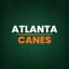 Avatar for Atlanta Canes