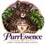 Avatar for PurrEssence: Cozy Vancouver Chats