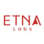 Avatar for Etna Labs