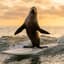 Avatar for MariaDB Foundation