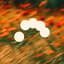 Avatar for Era