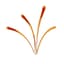 Avatar for SAFRAN CLUB