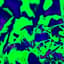 Avatar for SC BioBlitz Calendars