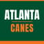 Avatar for Atlanta Canes