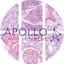 Avatar for Apollo Utrecht