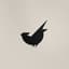 Avatar for Jaybird Midtown
