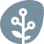 Avatar for Search On Media Group