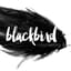 Avatar for Blackbird Counseling & Wellness