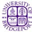 Avatar for UB Innovation and School of Engineering