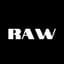 Avatar for RAW Collective AI Panels & Workshops