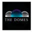 Avatar for The Domes