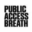 Avatar for Public Access Breath