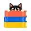 Avatar for The AI Book Club