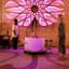 Avatar for 432 Higher Zen & Infinite Sound Medicine