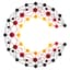 Avatar for cnetz