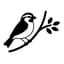 Avatar for Sparrow Institute DC Events