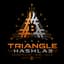 Avatar for Triangle Hashlab